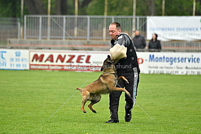 Piet (Reiter)