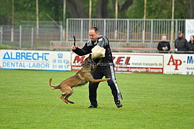 Piet (Reiter)