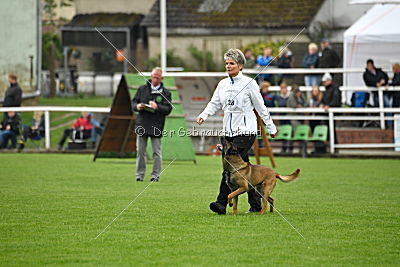 Piet (Reiter)