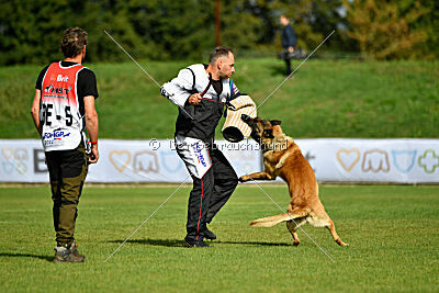 Plus van het Dreiland