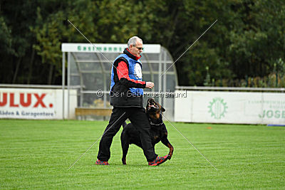 Quai von der Königskanzel