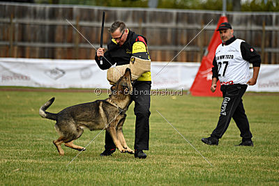 Quattro vom Wolfsdreieck