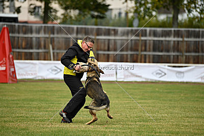 Quattro vom Wolfsdreieck