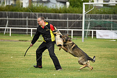 Quattro vom Wolfsdreieck