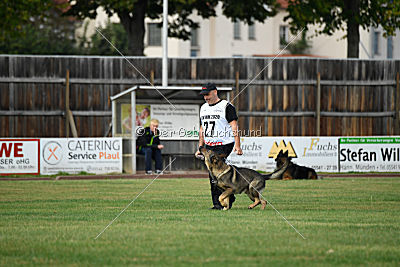 Quattro vom Wolfsdreieck