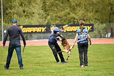 Quenn van de Berlex-Hoeve