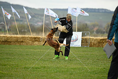 Quenn van de Berlex-Hoeve