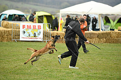 Quenn van de Berlex-Hoeve