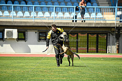 R2D2 de Orelav