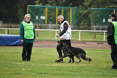 Radetzky del Camino Duro