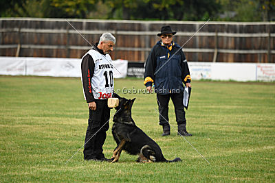 Radetzky del Camino Duro