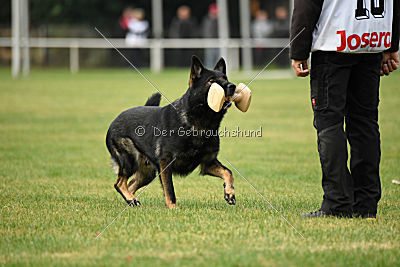 Radetzky del Camino Duro