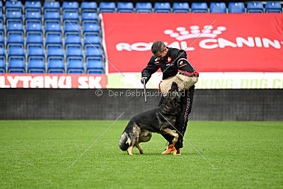 Raisers Fanto