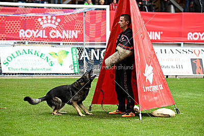 Raisers Fanto