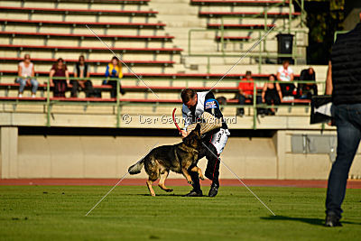 Raisers Fanto