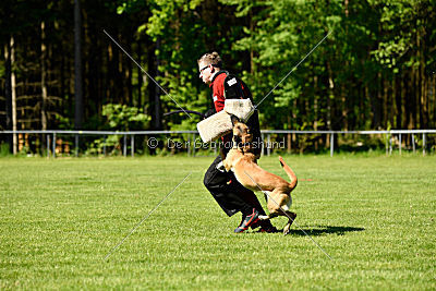 Resi Rückenwind von der Steinteichmühle