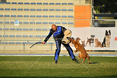 Reunion (FCI) Constantin Anoubis