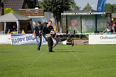Rex vom Weinbergblick