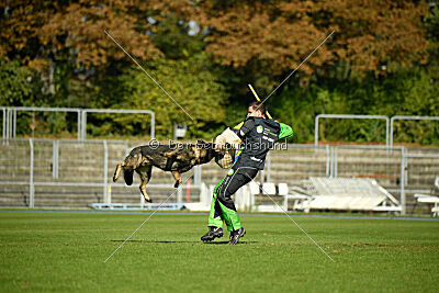 Rick vom Osterburg Quell