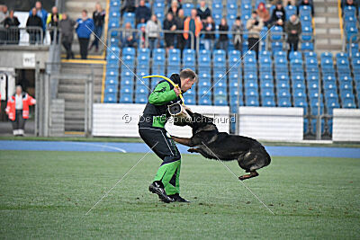Rocarzja Urex