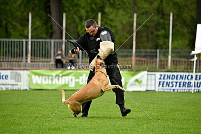 Rocket (de Boer)