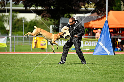 Rocket (de Boer)