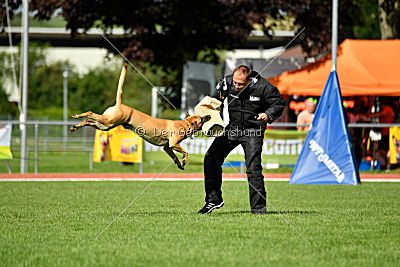 Rocket (de Boer)