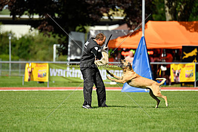 Rocket (de Boer)