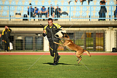 Roger de Knueve Hispania