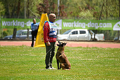 Roger de Knueve Hispania