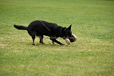 Rolex del Camino Duro