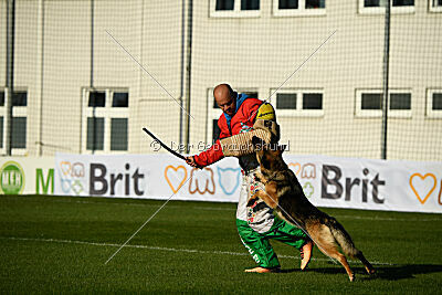 Rossia iz Vorta Wernogo
