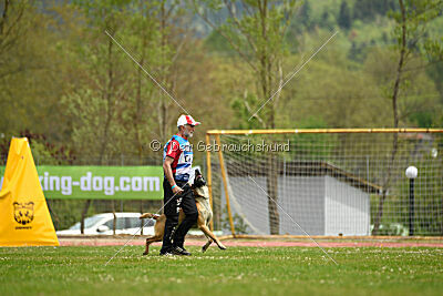 S'Leo vom Gsiberger