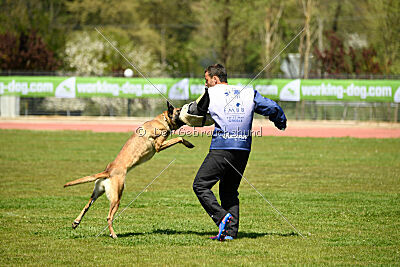 S'Leo vom Gsiberger