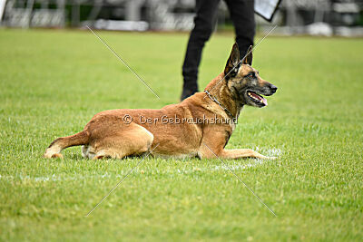 S'Marco vom Kistenstein