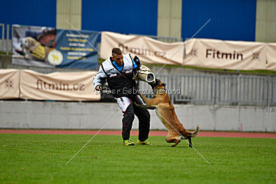 Safft Security's Coxie