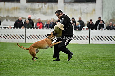 Sahneschnitte von der Steinteichmühle