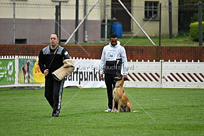 Sahneschnitte von der Steinteichmühle