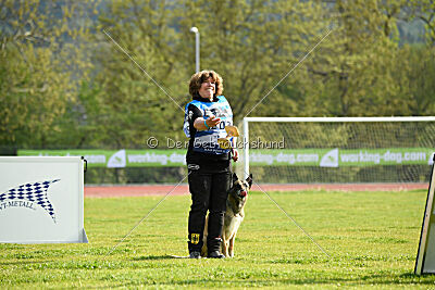 Serro de l'origine de faucon rouge
