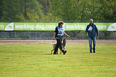Serro de l'origine de faucon rouge