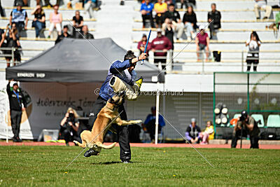 Serro de l'origine de faucon rouge
