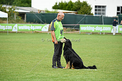 Shadow von der Jagsthöhe