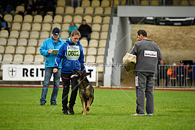 Sid vom Team bösen Bruderblick