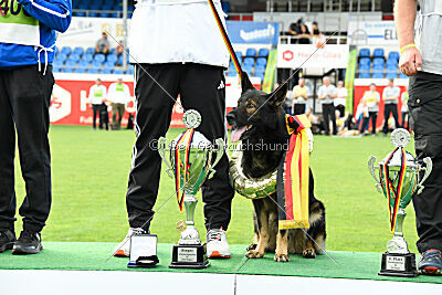 Siegerehrung, Victory Ceremony