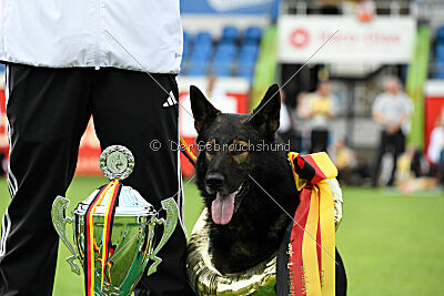 Siegerehrung, Victory Ceremony