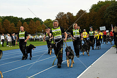 Siegerehrung, Victory Ceremony