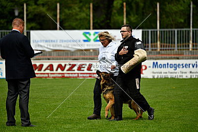Steiner vom Padberg