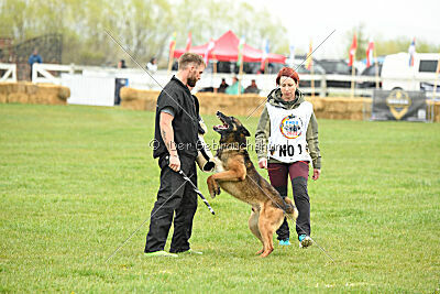 Storm Marinchuk K-9