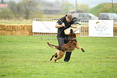 Storm Marinchuk K-9