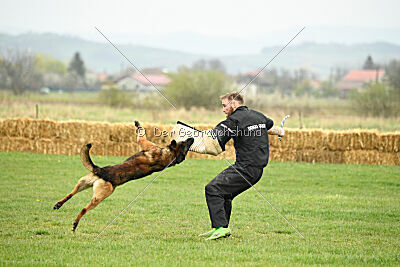 Storm Marinchuk K-9